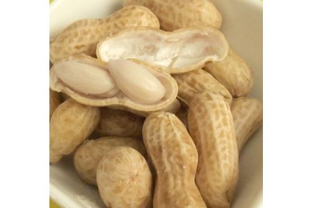 MS-09　やみつきになる新食感 「茹で落花生」（１ｋｇ）