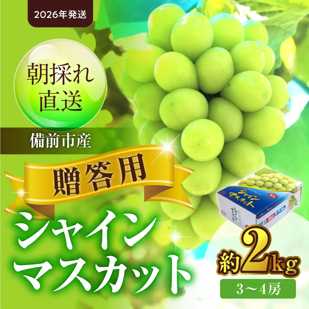 【2026年発送】備前市産 贈答用 シャイン マスカット 約2kg（8月中旬～9月中旬頃発送）【シャインマスカット 贈答用】