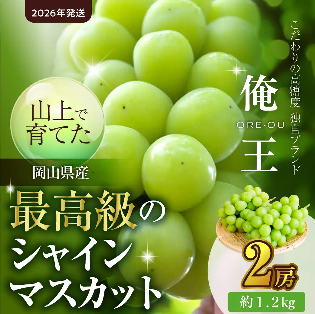 【2026年発送】最高級 シャイン マスカット「俺王」2房入り（10月初旬～10月下旬頃発送）【シャインマスカット】