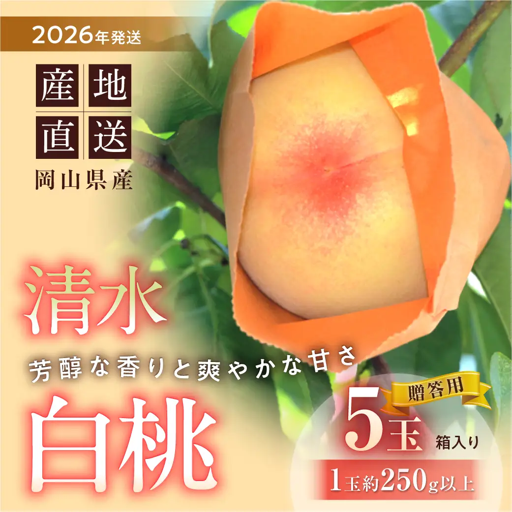 【2026年発送】清水白桃　5玉入り（7月下旬～8月初旬頃発送）【 白桃 桃 もも】