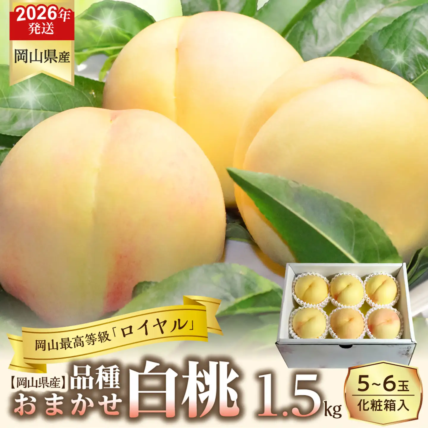 【令和８年発送分】岡山県産 白桃「ロイヤル」1.5kg（令和8年7月から8月頃発送）【桃】