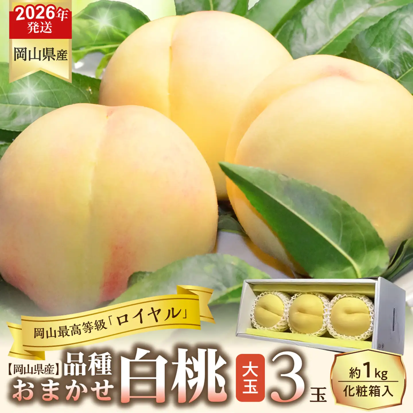 【令和８年発送分】岡山県産 白桃「ロイヤル」大玉3玉（令和8年7月から8月頃発送）【桃】