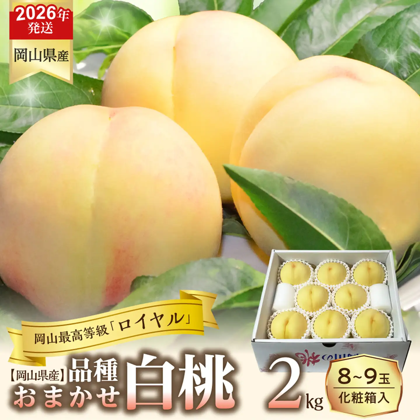 【令和８年発送分】岡山県産 白桃「ロイヤル」2kg（令和8年7月から8月頃発送）【桃】