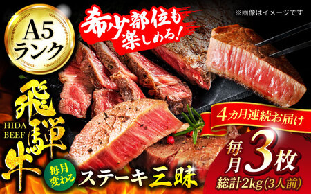 【4回定期便】飛騨牛 ステーキ三昧（3人前）総計2,040g【マルゴー】サーロイン 赤身 ヒレ [MBE062]