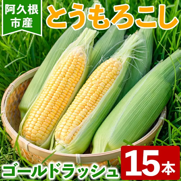 とうもろこし ゴールドラッシュ(15本) 国産 旬 野菜 青果 トウモロコシ 期間限定【笹原正樹】akn094-01
