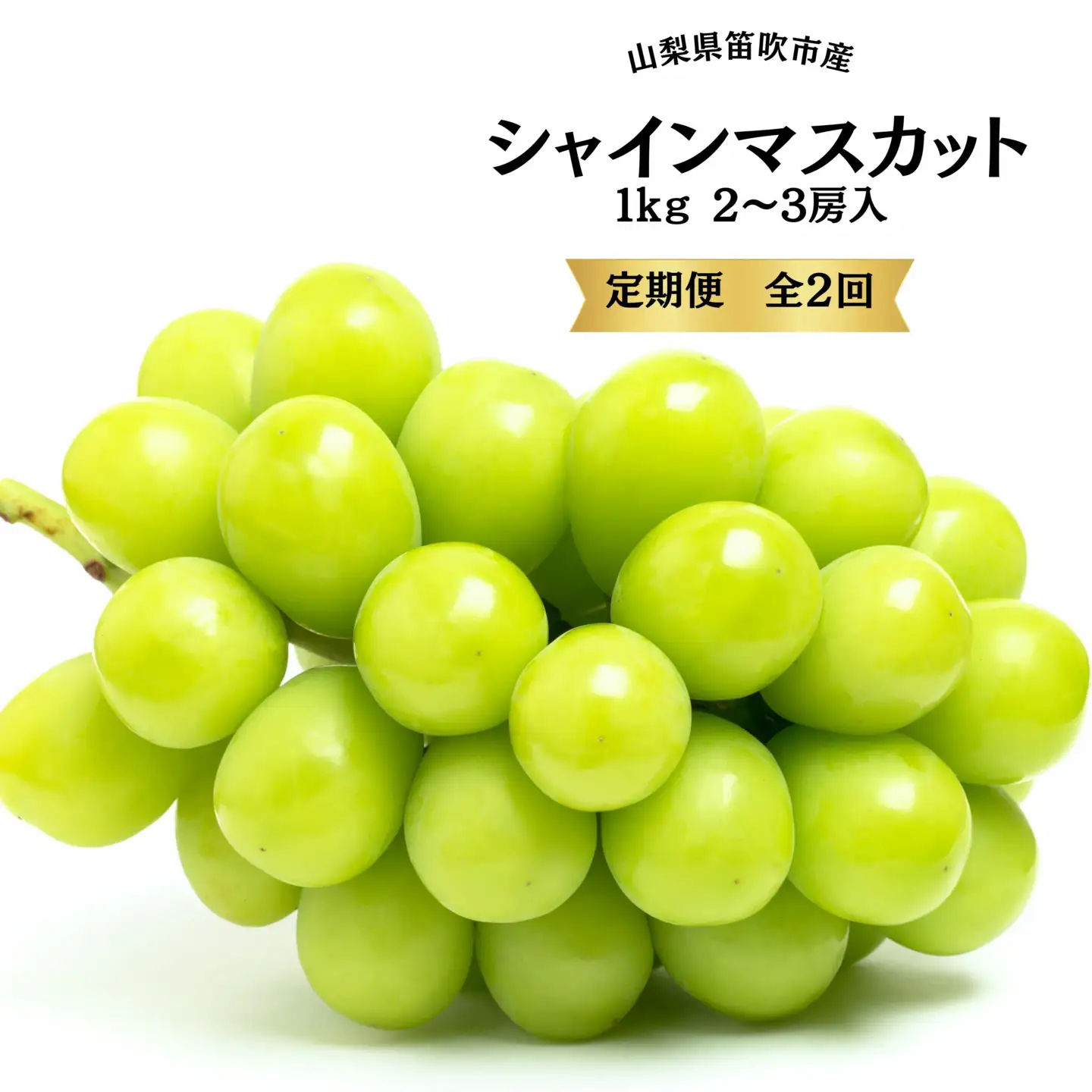 【2026年発送★先行予約】葡萄の一大産地！笛吹市産シャインマスカット定期便×２回 167-015-26y ※沖縄・離島配送不可