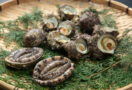 OM-09　サザエ（1kg）とアワビ（300ｇ）セット（生）