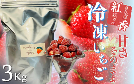 【先行予約_2026年発送】地元JA品評会金賞受賞　冷凍イチゴ3Kg　【 フローズン ストロベリー スムージー 苺 いちご  】 