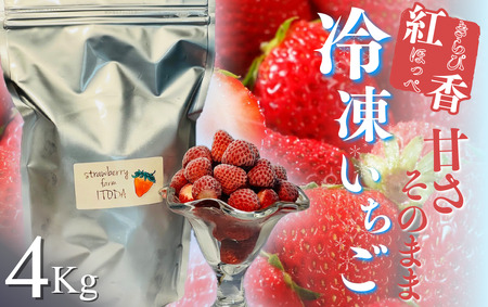 【先行予約_2026年発送】地元JA品評会金賞受賞　冷凍イチゴ4Kg　【 フローズン ストロベリー スムージー 苺 いちご  】 