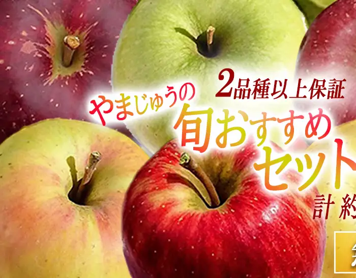 りんご 2品種以上保証 旬のおすすめ 2kg 詰め合わせ セット やまじゅうファーム 沖縄県への配送不可 2026年10月上旬頃から2026年12月下旬頃まで順次発送予定 令和8年度収穫分 信州の環境にやさしい農産物 減農薬栽培 長野県 飯綱町 [1799]