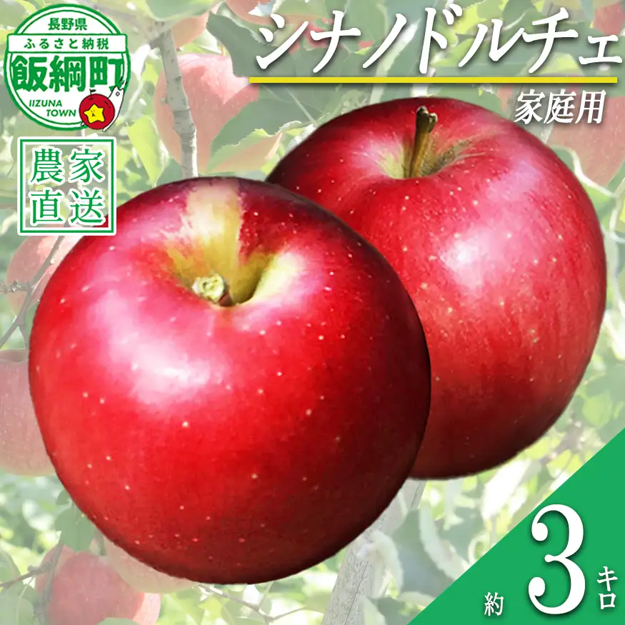 りんご シナノドルチェ 家庭用 3kg ファームたんぽぽ 2026年9月下旬頃から2026年10月上旬頃まで順次発送予定 令和8年度収穫分 信州 果物 フルーツ リンゴ 林檎 長野 予約 農家直送 長野県 飯綱町 [1821]