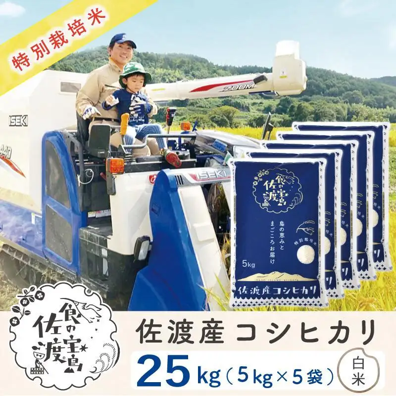 佐渡島産コシヒカリ 白米25kg（5kg×5袋） 特別栽培米 農家直送	