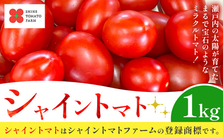 シャイントマト 1kg  ミニトマト