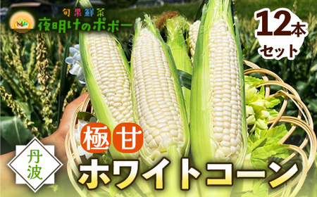 極甘 ホワイトコーン 12本 | とうもろこし コーン