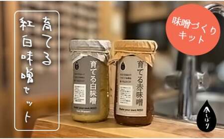 無添加 育てる紅白味噌セット【 国産 調味料 セット 味噌 みそ 手作り 手作り味噌 味噌づくり キット 発酵食品 贈答 贈り物 プレゼント ギフト 無農薬 京都 綾部 】