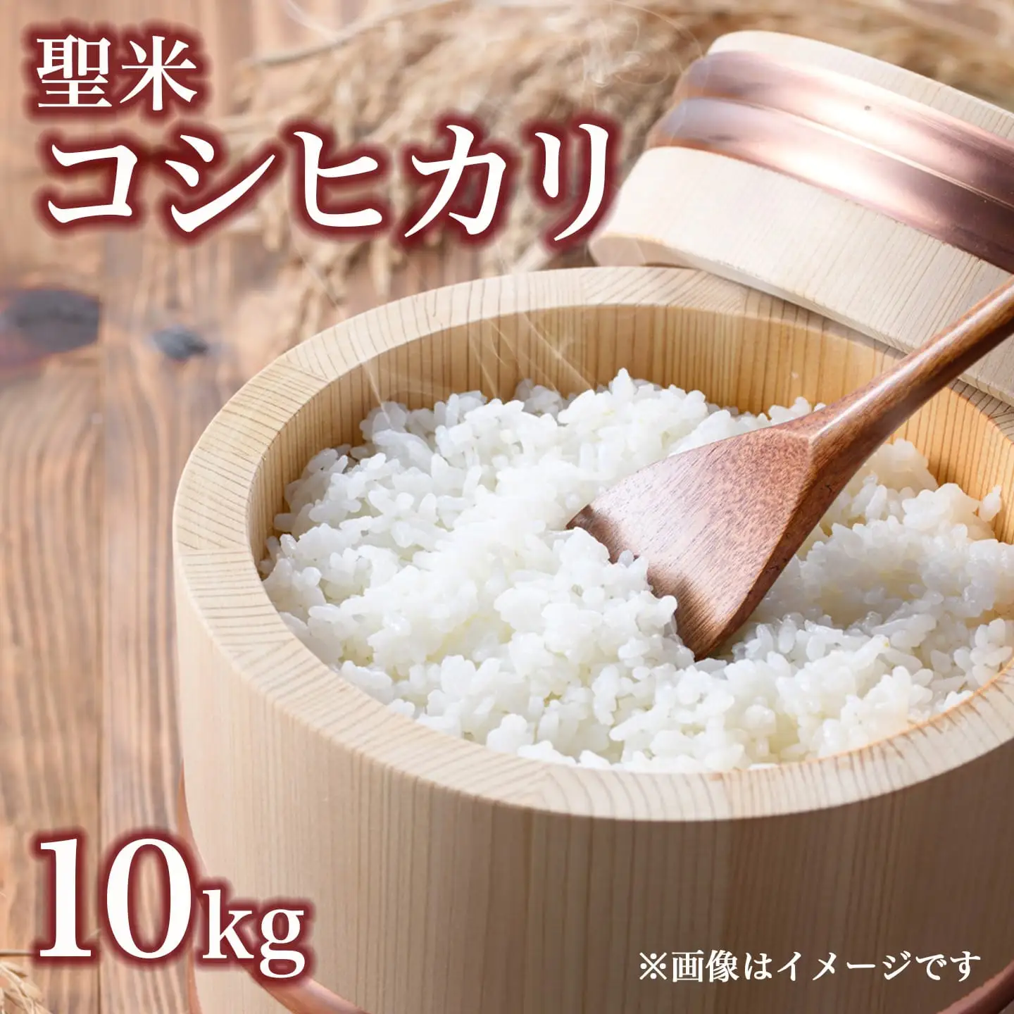 「聖米」 白米 10kg (5kg×2) | 米 お米 こしひかり 白米 精米