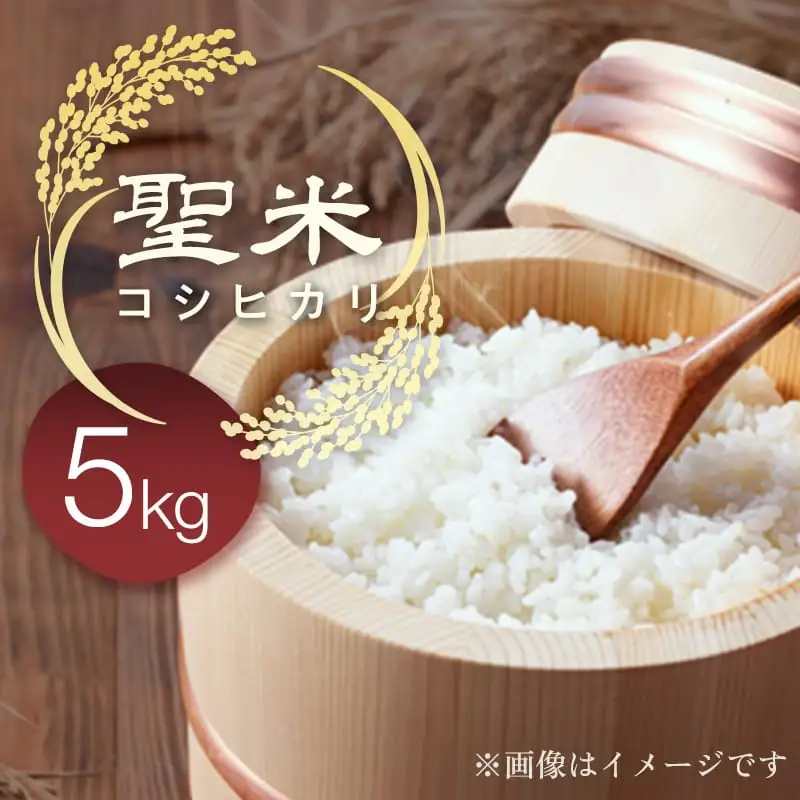 「聖米」 白米 5kg | 米 お米 こしひかり 白米 精米