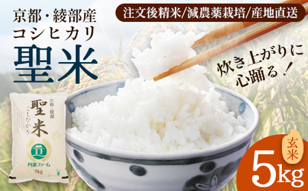 「聖米」 玄米 5kg | 米 お米 こしひかり 玄米