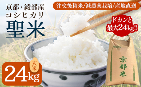 業務用 京都府産コシヒカリ 聖米 玄米24kg | 米 お米 こしひかり 玄米