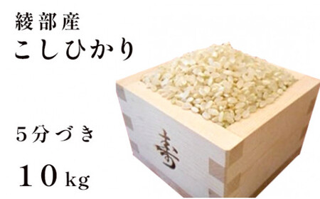 コシヒカリ 5分づき 10㎏ 精米 コシヒカリ