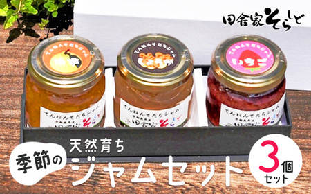 天然育ち季節のジャム 3個 【 ジャム ジャムセット 季節のジャム 国産 果物 フルーツ 手みやげ お返し 内祝い お中元 お歳暮 プレゼント 詰め合わせ セット 贈答 贈り物 ギフト 京野 綾部 】