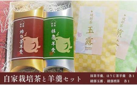 茶園の自家栽培茶と特製綾部茶ようかんのセット（ 抹茶ようかん / ほうじ茶ようかん / 綾部玉露 / 綾部煎茶 ）【 国産 農家直送 日本茶 茶 お茶 綾部茶 ようかん 羊羹 ギフト お茶請け 贈り物 プレゼント 和菓子 セット 贈答品 お土産 スイーツ 京都 綾部 】