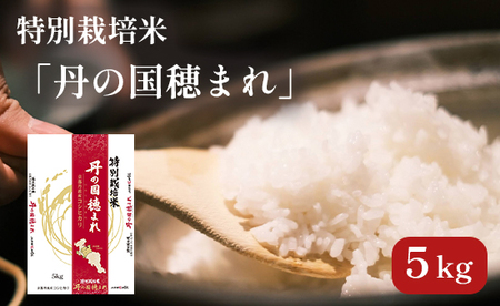 特別栽培米 5kg 白米 丹の国穂まれ 特別栽培米 精米
