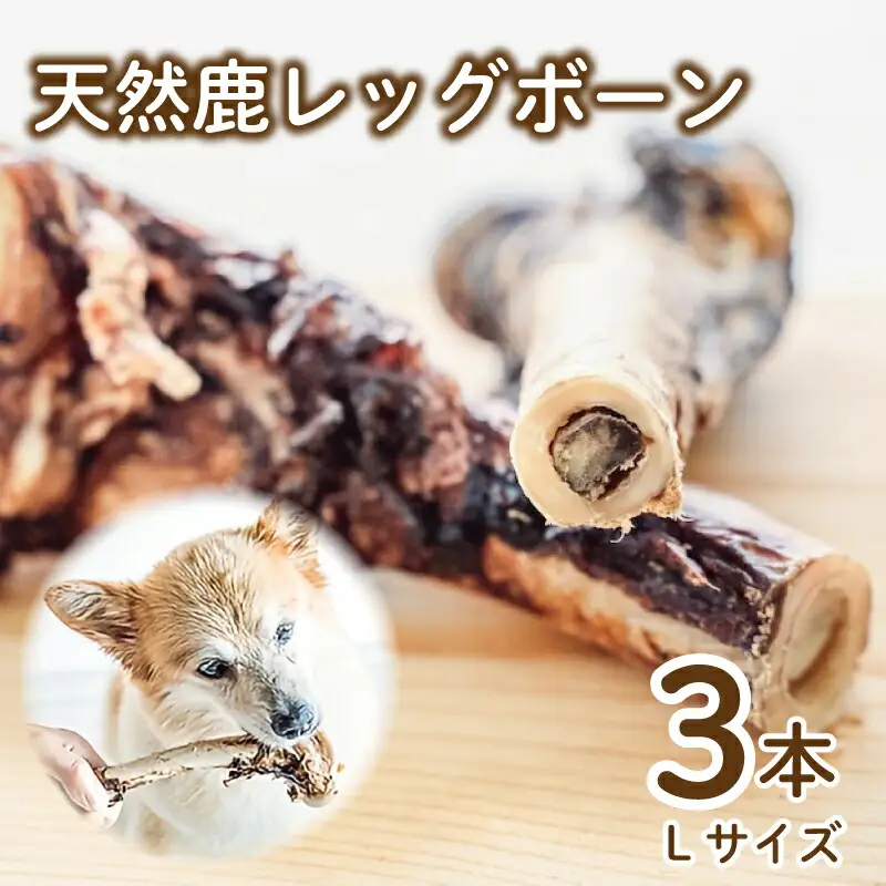 【大切な愛犬に】天然鹿レッグボーン3本 (犬 おやつ ペット用品
