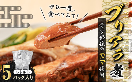 【 山実水産 】 ブリアラ煮 （ レトルト ） 5パック 入り K046-002 魚