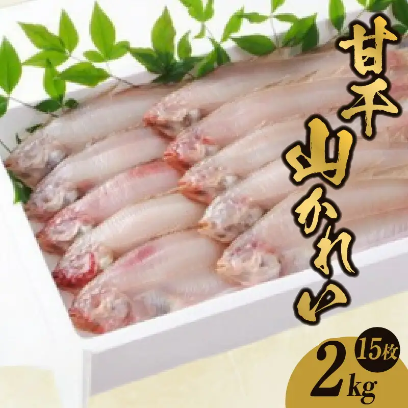 干物 甘干し山かれい2kg（15枚入り）干物の本場 香住産 冷凍 08-06