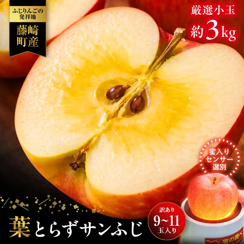 【先行予約】葉とらず サンふじ 厳選 小玉 約3kg 【アップルアーク】 F41-0002