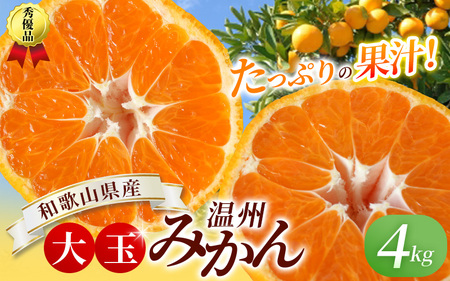 bravus! 温州みかん 樹熟大坊みかん 秀優、3Sサイズ9kg 完熟みかんのおすすめ人気商品一覧 通販 - Yahoo!ショッピング