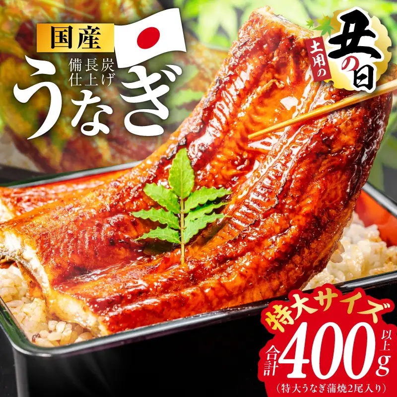 【土用の丑の日までにお届け】国産うなぎ 特大2尾 400g以上
