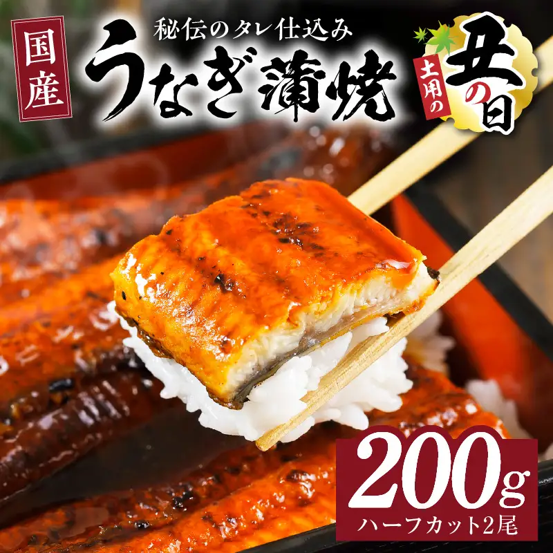 【土用の丑の日までにお届け】国産うなぎ ハーフカット 合計200g