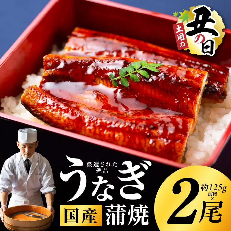 【土用の丑の日までにお届け】国産うなぎ 2尾 合計250g
