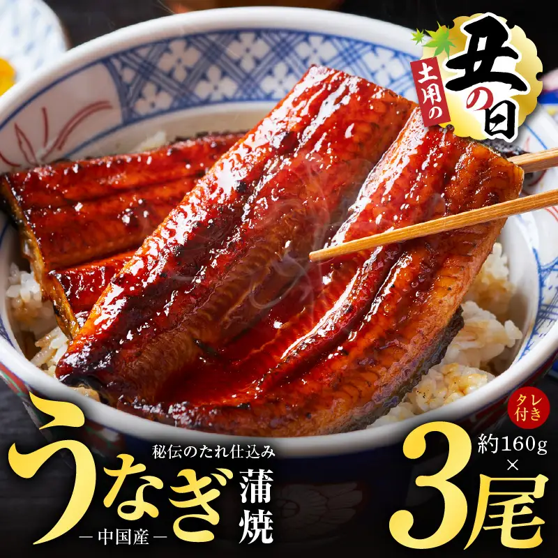 【土用の丑の日までにお届け】うなぎ蒲焼 合計480g