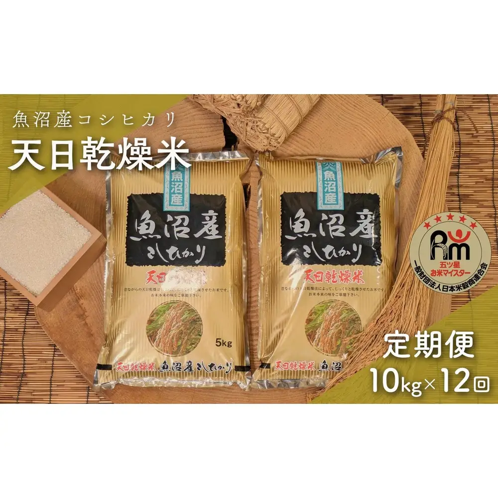 【毎月定期便】令和７年産「五つ星お米マイスター」厳選　天日干し魚沼産コシヒカリ　精米10kg（5kg×2個）×12回