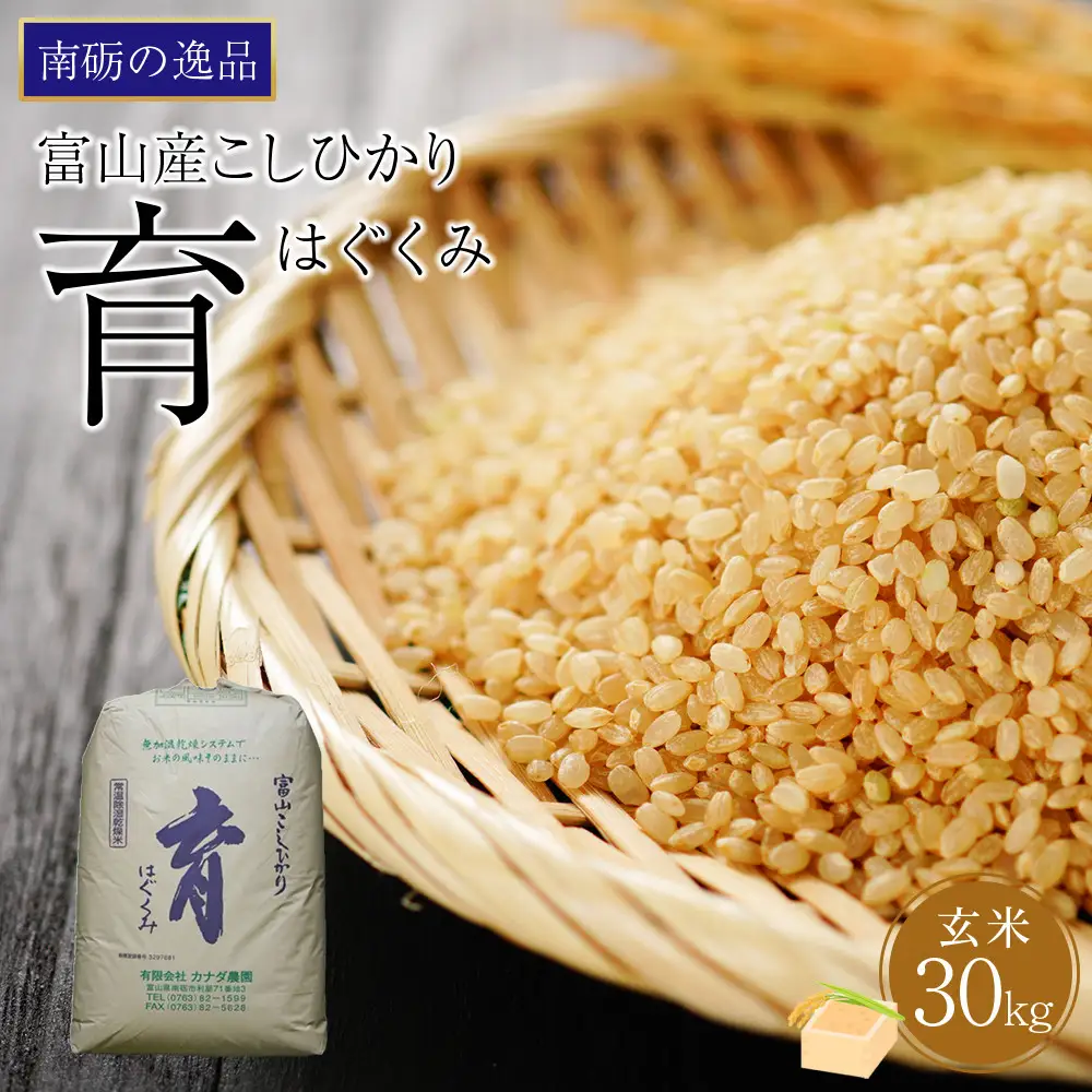 【令和7年産】富山県産こしひかり　育（はぐくみ）玄米３０kg《南砺の逸品》