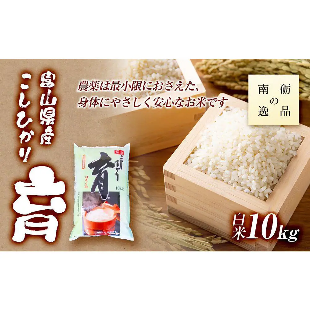 【令和7年産】富山県産こしひかり　育（はぐくみ）白米１０kg《南砺の逸品》