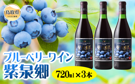 ブルーベリーワイン紫泉郷720ml 3本ｾｯﾄ【数量限定】_T2600006
