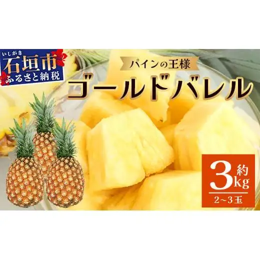 【先行予約】最高級パイン ゴールドバレル 2～3玉セット TD-1-1