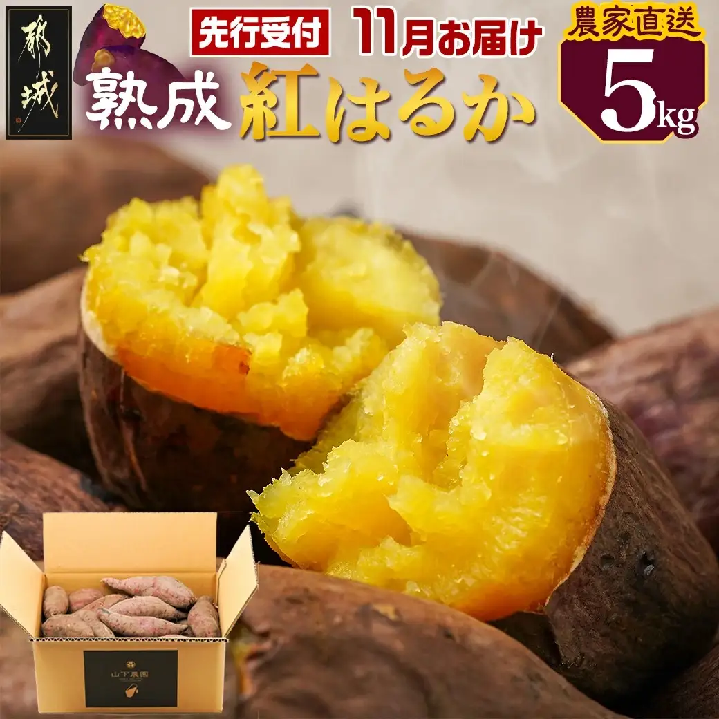 先行受付!【11月お届け】【農家直送】山下農園　熟成紅はるか 5kg〔LD-I704-11〕_(都城市) 都城産 紅はるか S～2Lサイズ混合 山下農園 さつまいも兄弟 長期熟成 甘い