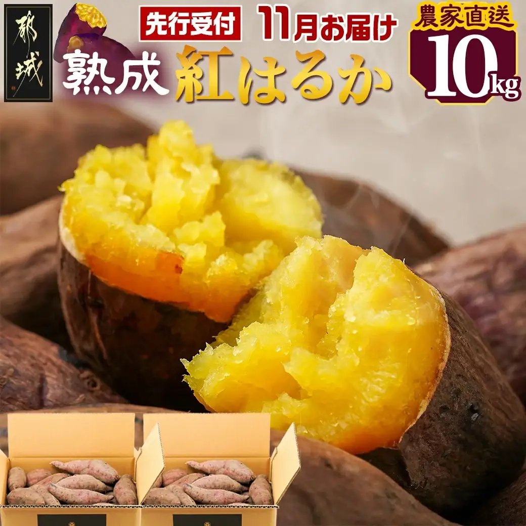 先行受付!【11月お届け】【農家直送】山下農園　熟成紅はるか 10kg〔AA-I705-11〕_(都城市) 都城産 紅はるか S～2Lサイズ混合 山下農園 さつまいも兄弟 長期熟成 甘い
