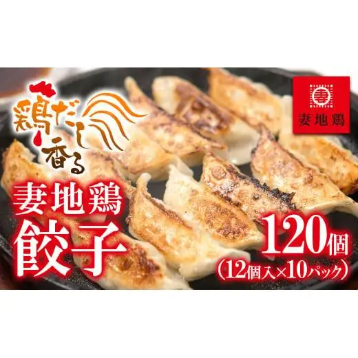 ブランド地鶏「妻地鶏」ぎょうざ詰合せ45　120個（12個×10パック） 小分け＜8-23a＞