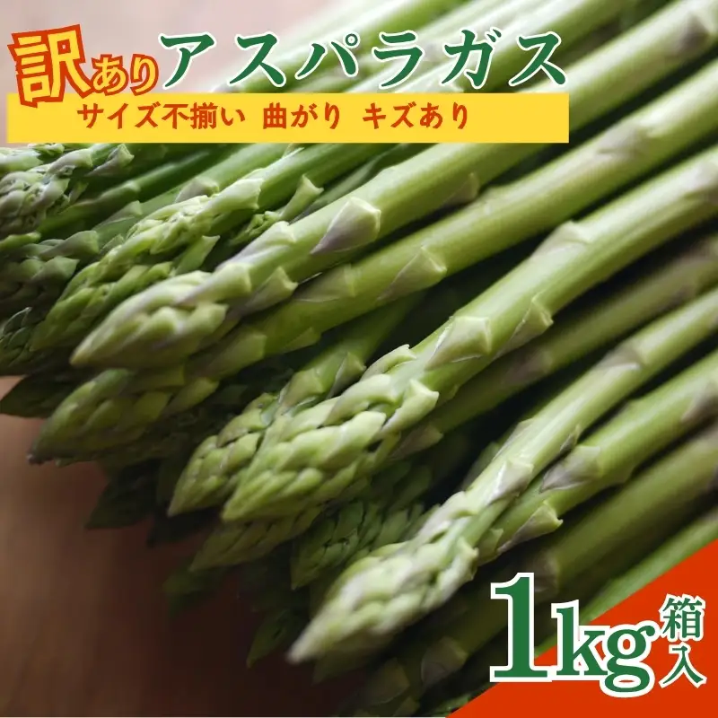 No.2879 【訳あり】アスパラガス1kg箱入　サイズ不揃い　曲がり　キズあり【2026年発送】