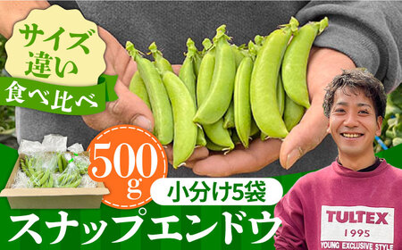 【2027年1月-発送】スナップエンドウ　サイズ違い　食べ比べセット　100g × 5袋 / 小分け / 南島原市 [SFL001]