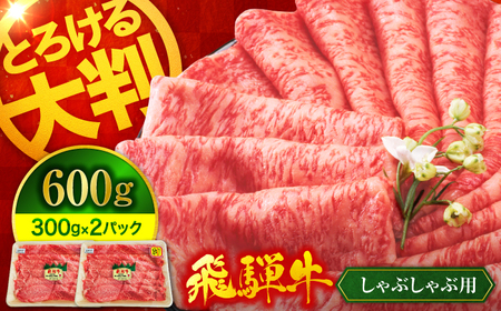 飛騨牛 しゃぶしゃぶ用 600g（300g×2）【マルゴー】和牛 A5等級 すき焼き ギフト [MBE066]