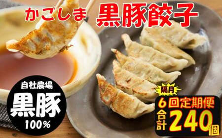 ES-502 【隔月6回定期便】かごしま黒豚餃子 合計240個