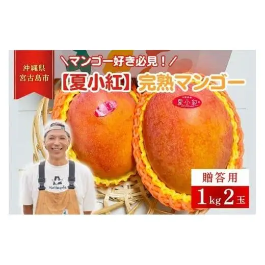 【2026年先行予約】【檬果家】マンゴー好き必見！沖縄限定　希少品種【夏小紅】１kg２玉　贈答用（HZ001）