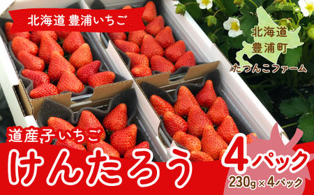 【2026.4月以降順次出荷】北海道いちご けんたろう 230g×4パック 北海道 豊浦町 